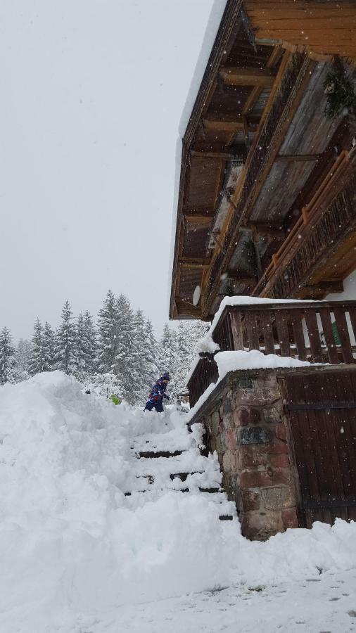 Oberseebachhof Scheffau am Wilden Kaiser Exterior foto